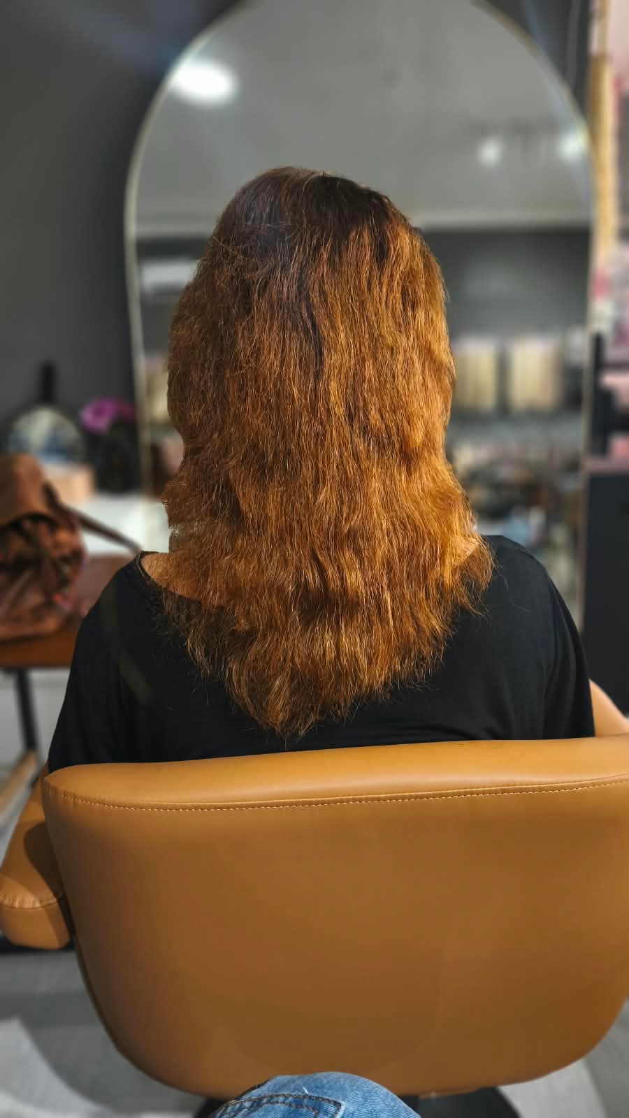 Client before — auburn hair to the shoulders, dry through the ends